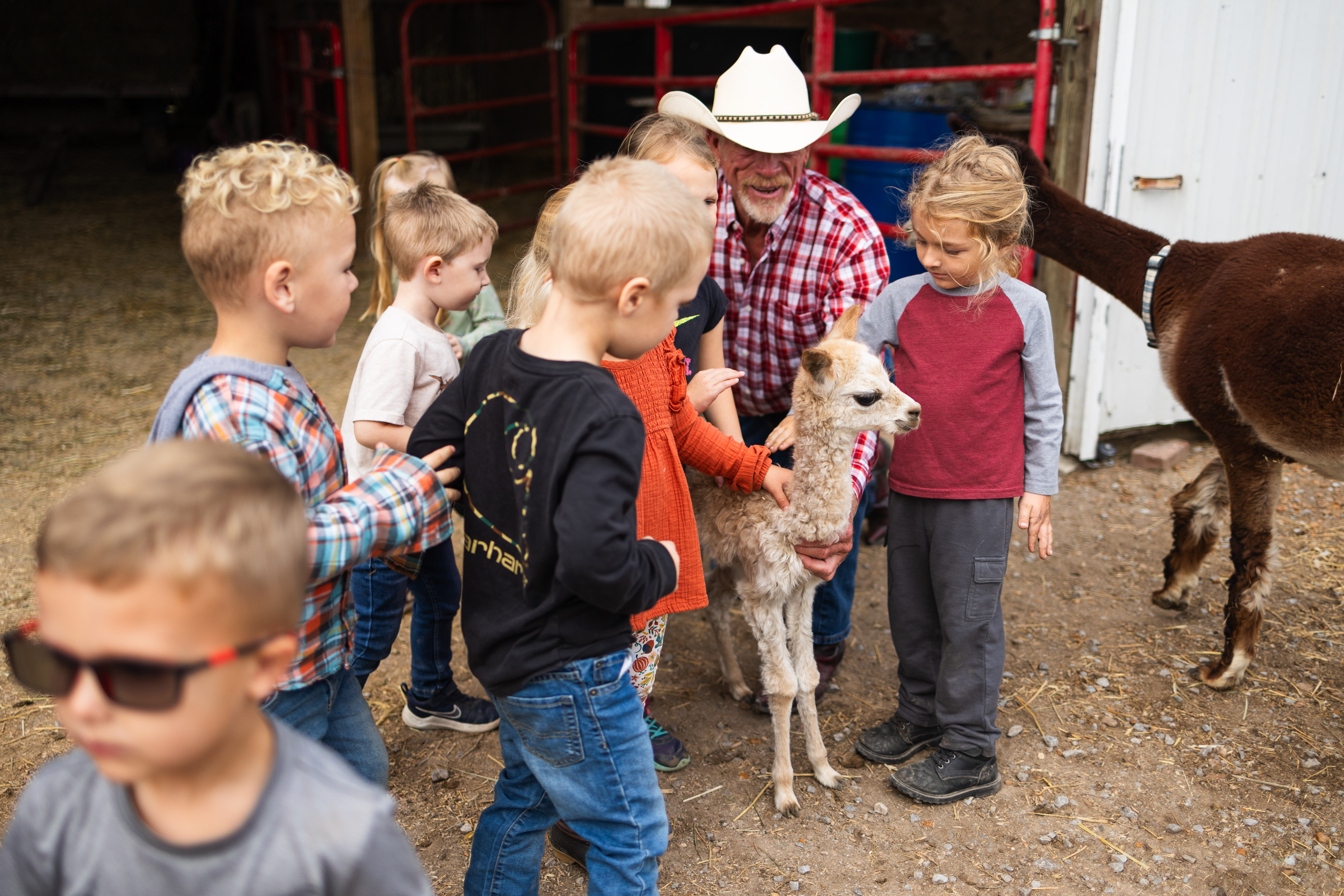 Baby Bonanza at Rainbow Ranch